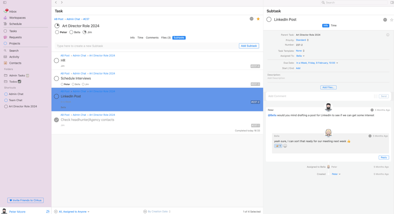 Cirkus - task view and subtask view-2